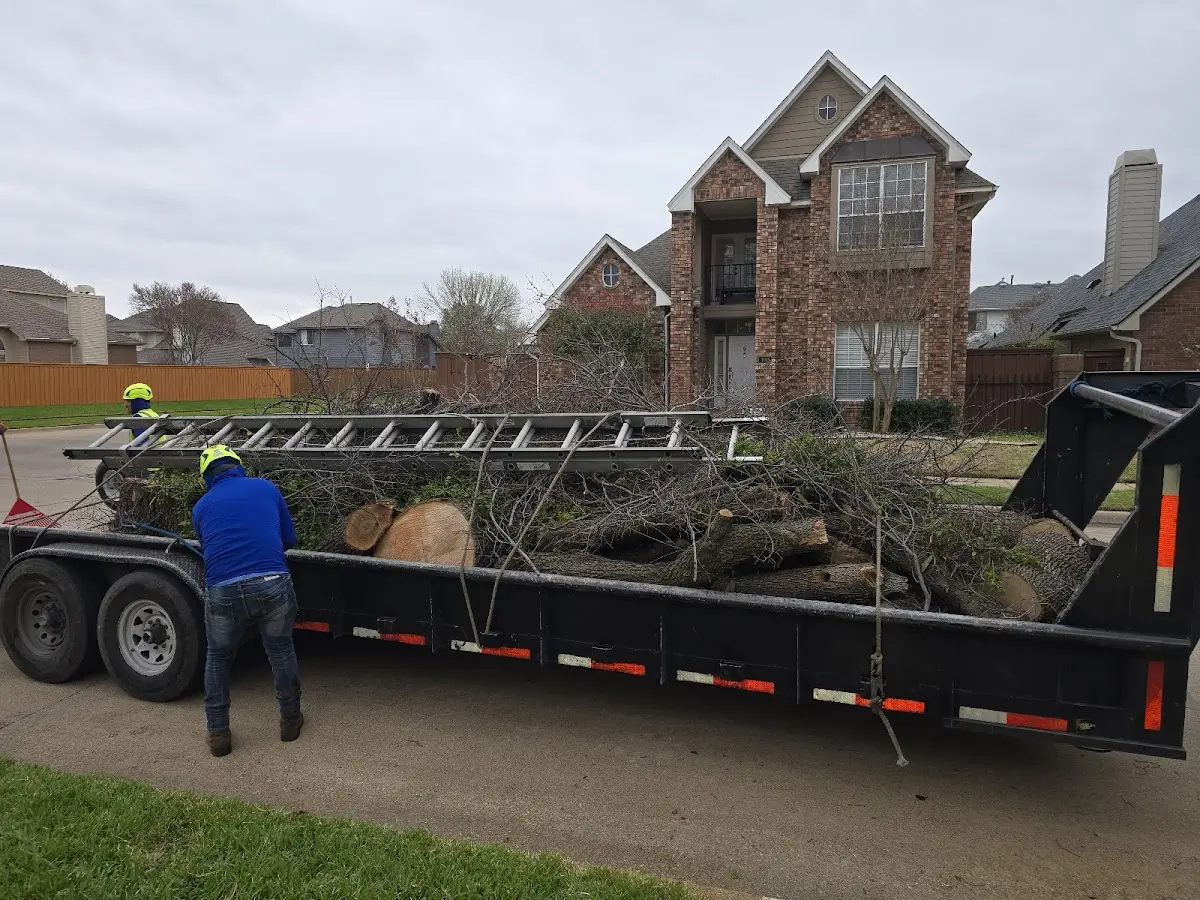 Expert Tree Pest Control with proper safety equipment in Warner Springs